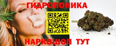 дмт Краснодар