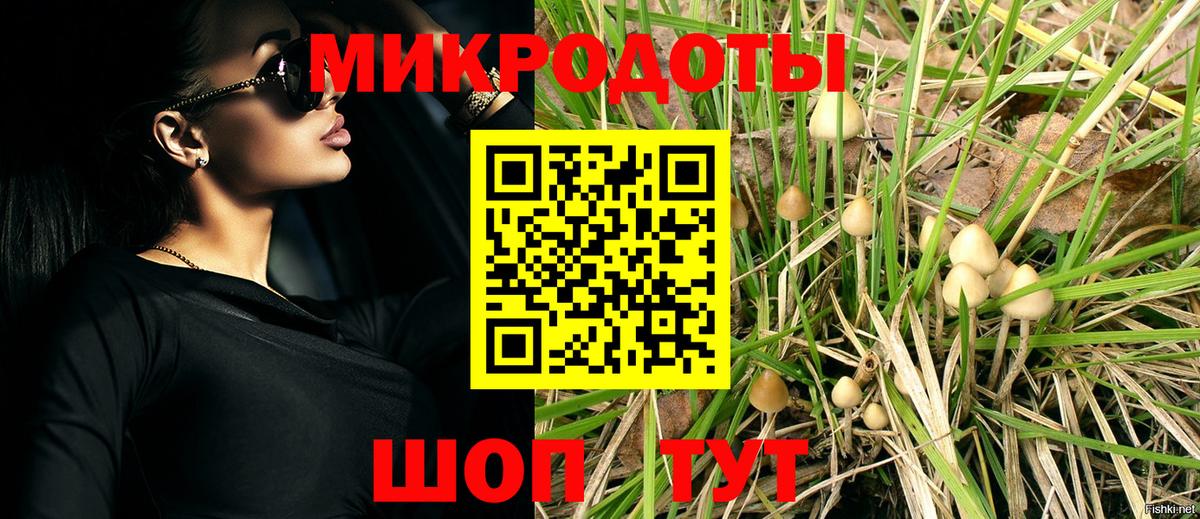 Жуковский  Псилоцибиновые грибы ЛСД  Псилоцибиновые грибы GOLDEN TEACHER  Вход с VPN 